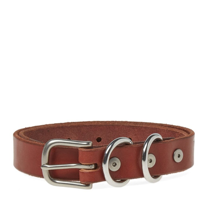 Photo: Tanner Goods Canine Collar
