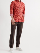 KITON - Button-Down Collar Printed Cotton Shirt - Red - 41