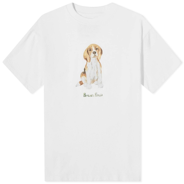 Photo: Bram's Fruit Men's Beagle Aquarel T-Shirt in White