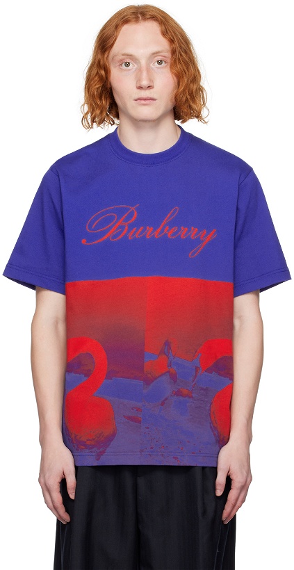 Photo: Burberry Blue & Red Swan T-Shirt