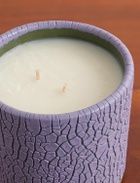 Houseplant - Crackle Scented Ceramic Candle, 368g