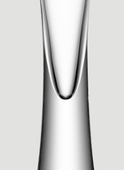 LSA International Set of Two Moya Champagne Flutes