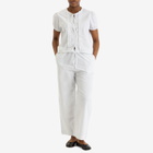Deiji Studios Women's Ease Trouser in Sage Stripe