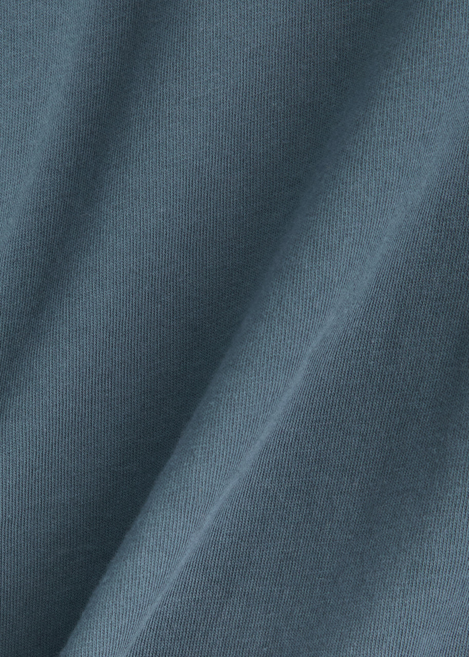 Colorful Standard Cotton T-shirt Blue