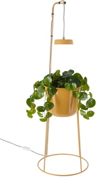 Modern Sprout Yellow Uplift Planter