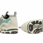 Mizuno WAVE RIDER 10 "PREMIUM" Sneaker in Opal Gray/Pristine/Creme De Menthe