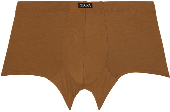 Photo: ZEGNA Brown Patch Boxers