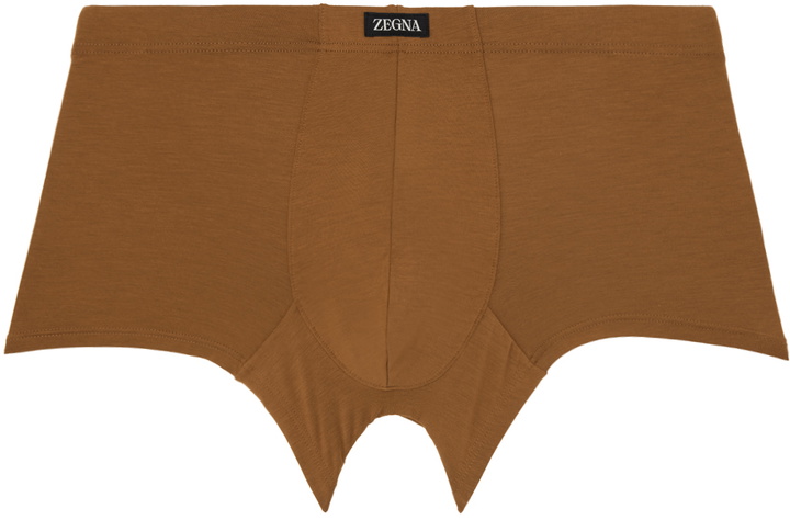 Photo: ZEGNA Brown Patch Boxers