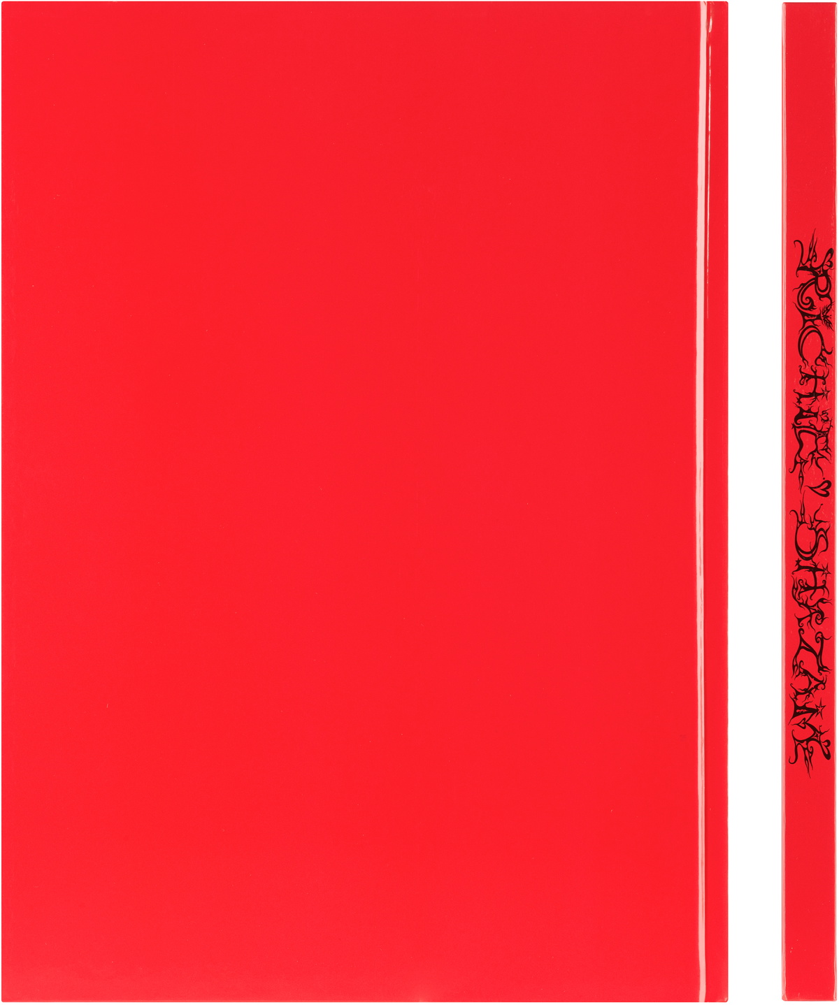 IDEA Shazam by Richie Shazam — 1st Edition