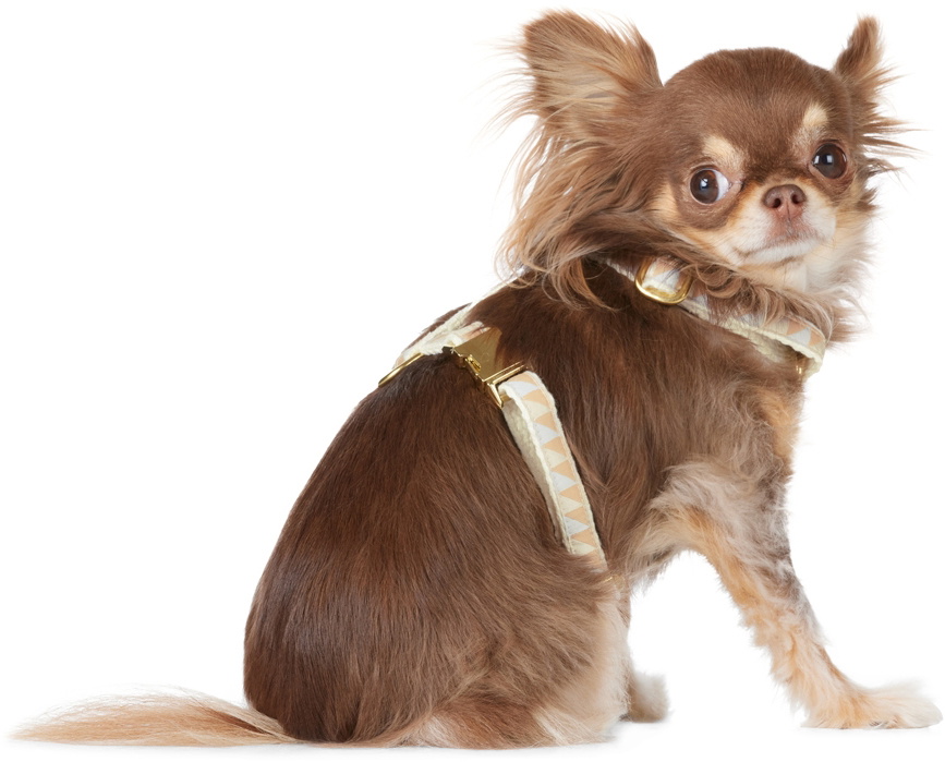 See Scout Sleep Beige & Off-White Extra Small Nice Grill Standard Collar