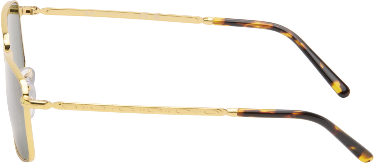 Ray-Ban Gold RB3717 Sunglasses