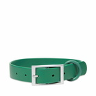 Wild One Dog Collar in Spruce