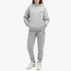 Air Jordan x Awake NY Fleece Pant in Grey Heather