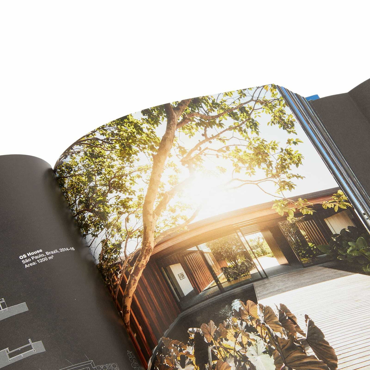 Taschen Homes For Our Time: Contemporary Houses around the World in Philip Jodidio 