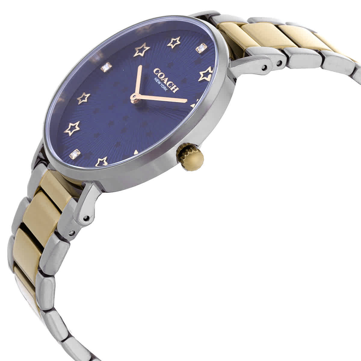 Coach Perry Quartz Crystal Blue Dial Unisex Watch 14503523
