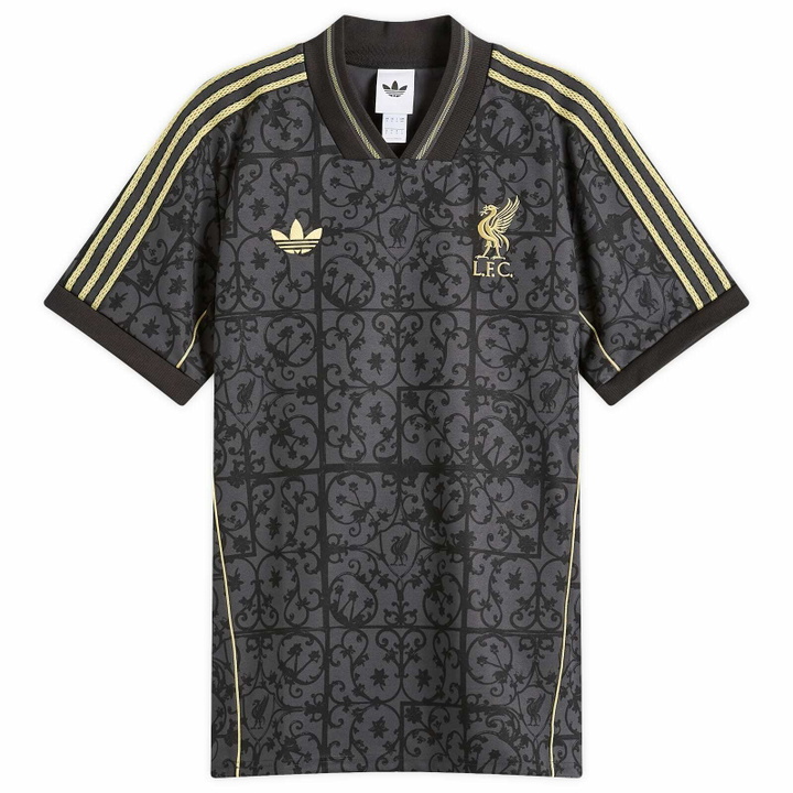 Photo: Adidas Liverpool FC. Lifestyler Jersey Top in Carbon/Halo Gold