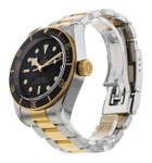 Tudor Black Bay M79733N-0008