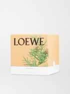 LOEWE HOME SCENTS - Cypress Balls Scented Candle, 170g