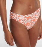 Heidi Klein Coral Gardens bikini bottoms