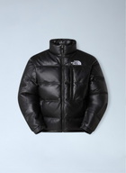 The North Face Leather Pack Summit Jacket