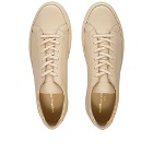 Woman by Common Projects Original Achilles Low Sneakers in Cremino