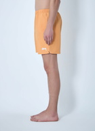 Stüssy Water Stock Shorts