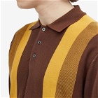 Beams Plus Men's 12g Stripe Knit Long Sleeve Polo Shirt in Brown