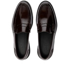 VINNYs Men's VINNY's Townee Penny Loafer in Brown Polido Leather