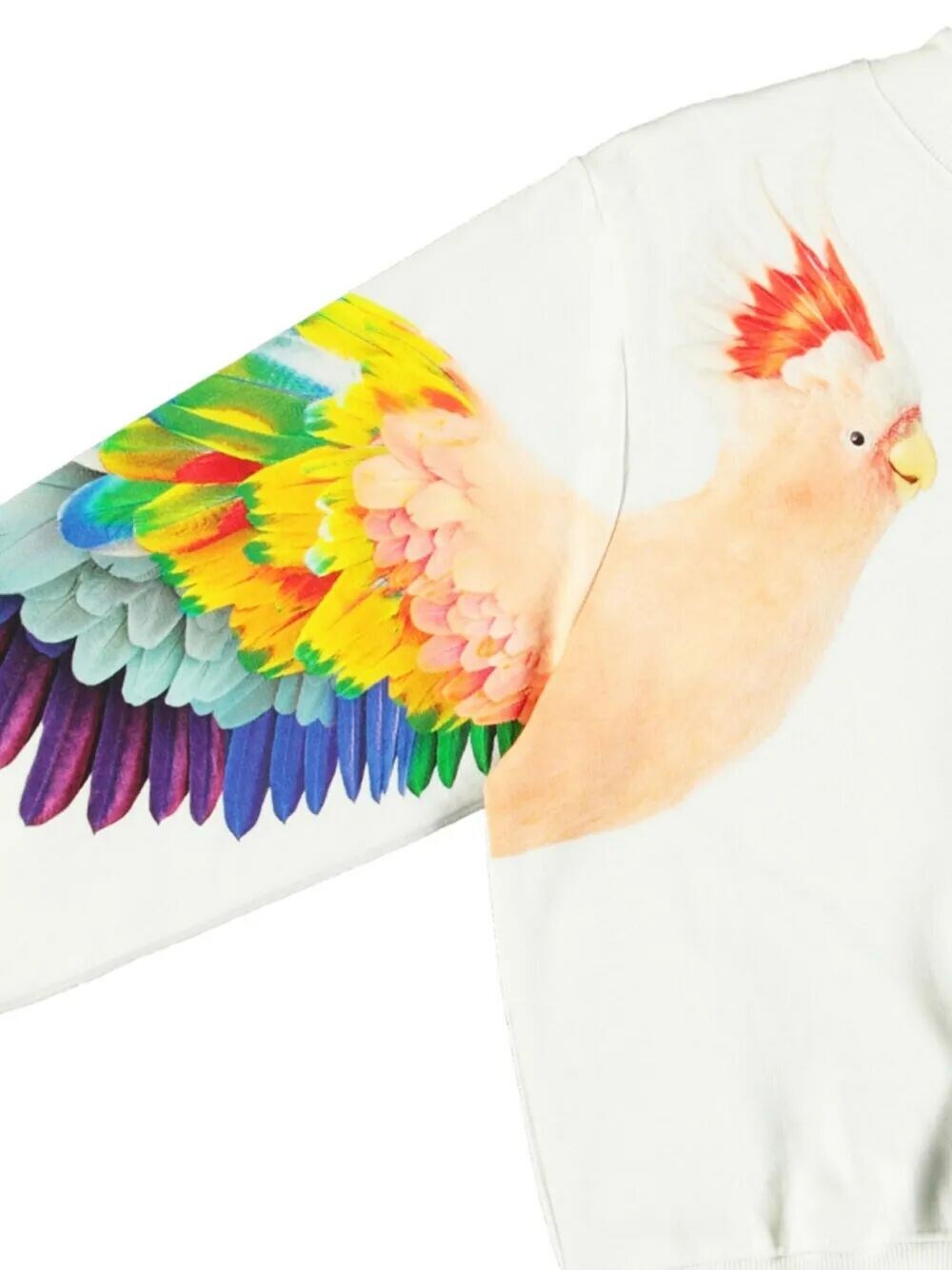 Molo Marge Sweatshirt in Multi