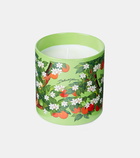 Dolce&Gabbana Casa Arancio Di Sicilia scented candle
