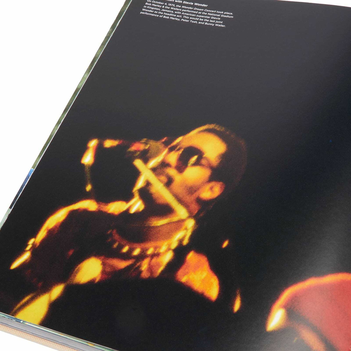 Rizzoli Hit Me With Music in Lee Jaffe Rizzoli