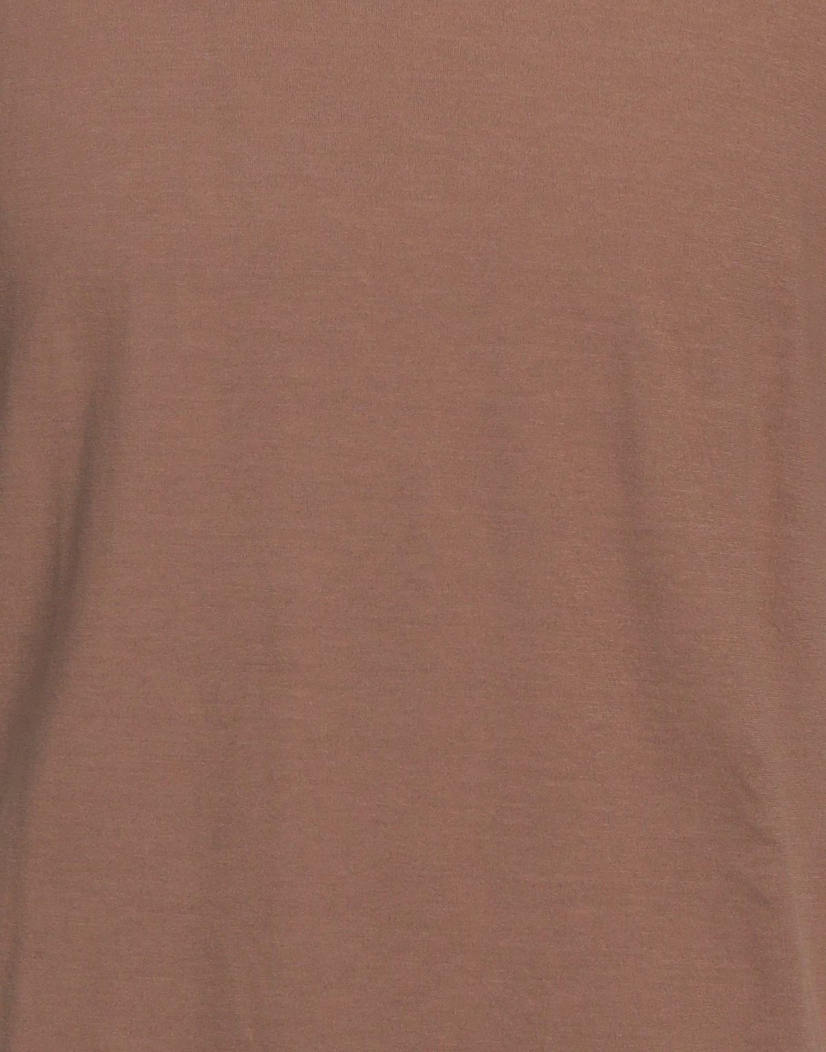 Lardini Mens T-shirt in Light brown