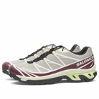 Salomon XT-6 GTX Sneaker in Paloma/Maroon Banner/Butterfly