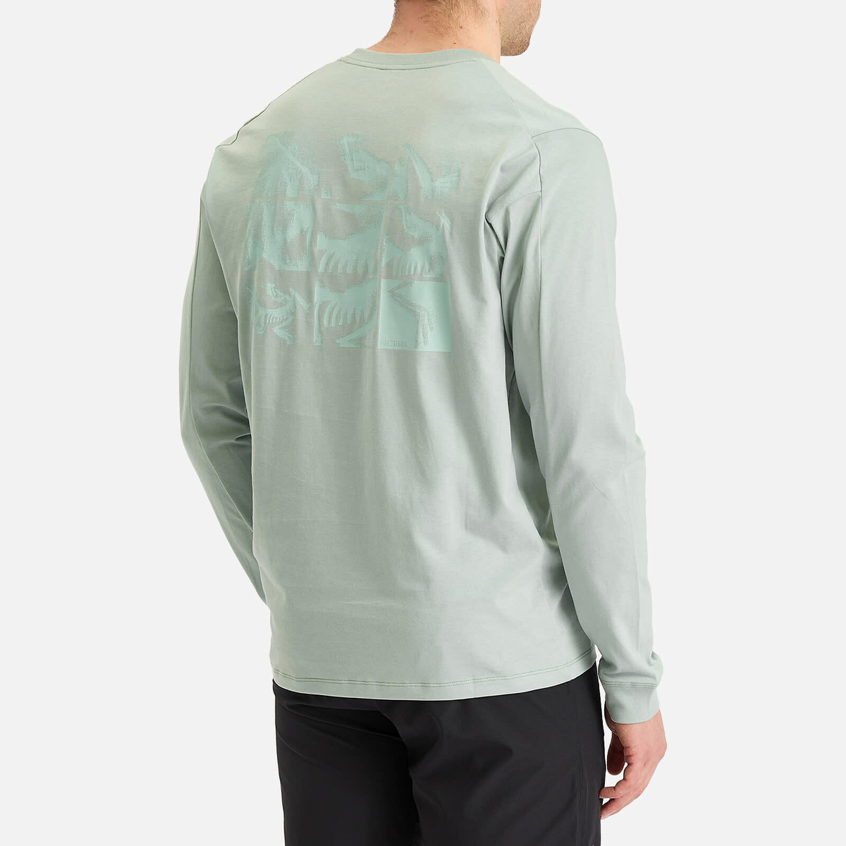Arc'teryx Men's Kragg SL Cotton Bird Tile Long Sleeve T-Shirt in