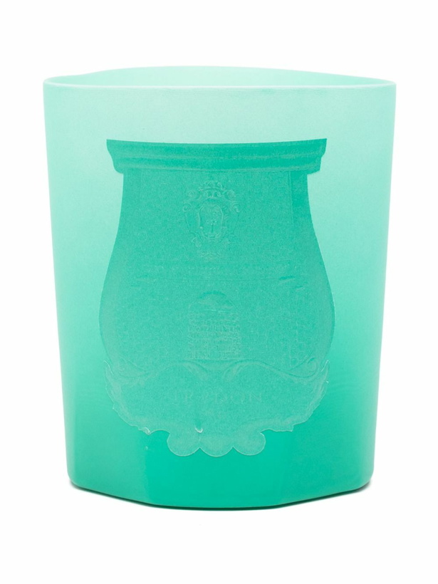 Photo: TRUDON Under The Trees Candle (270g)