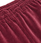 Needles - Logo-Embroidered Webbing-Trimmed Cotton-Blend Velour Track Pants - Burgundy