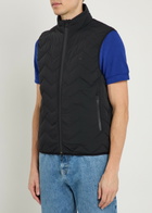 Emporio Armani Water-repellent Padded Stretch-nylon Gilet Black