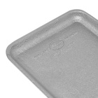 Puebco Cast Iron Tray