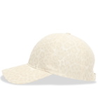 Anine Bing Women's Jeremy Baseball Cap in Multi 
