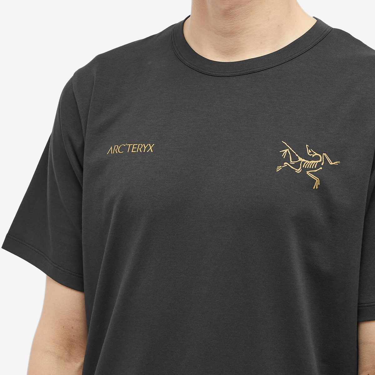 Arc'teryx Men's Captive Arc'postrophe Word T-Shirt in Black Arc'teryx