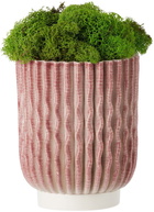 Polymorf Pink Small Gudrun Planter