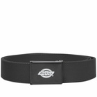 Dickies Men's Orcutt Belt in Black