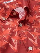 KITON - Button-Down Collar Printed Cotton Shirt - Red - 41