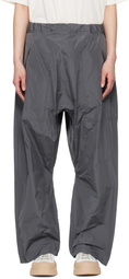 Sofie D'Hoore Gray Pack Trousers