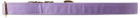 See Scout Sleep Purple Extra Large Scot Dog Collar