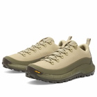 Danner Men's MTN45 Low Hiking Boots in Desert Moss
