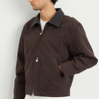 Polar Skate Co. Men's Quilt Lined Cliff Jacket in Chocolate