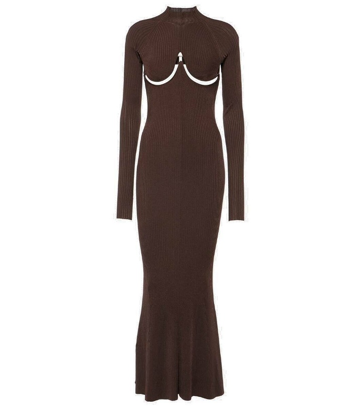 Photo: Dion Lee Double Underwire ribbed-knit maxi dress
