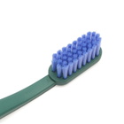 HAY Tann Toothbrush in Pine Green/Blue 