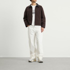 Polar Skate Co. Men's Quilt Lined Cliff Jacket in Chocolate